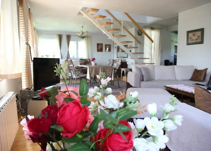 别墅 Meli 维索科